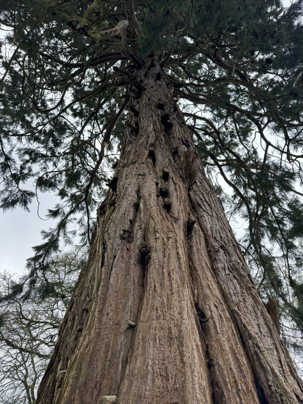 On to Drum Castle, the&nbsp;grounds